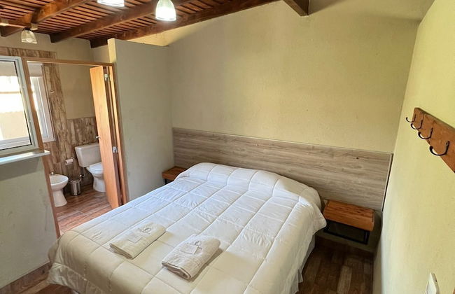 Olivos de Monte - Foto 5