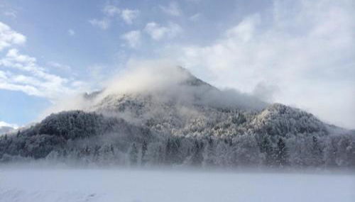 Ferienwohnungen Ortner-Hof inkl. Chiemgaukarte - Foto 3