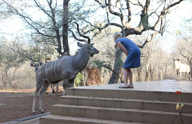 Villa ZaZu - Foto 20