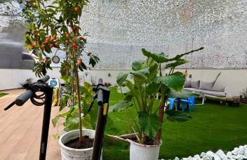 Apartments Sunshine G1 - Foto 52