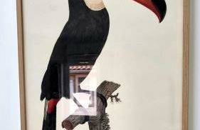 Victoire Opale 202 climatisé hôtel de ville - Foto 12