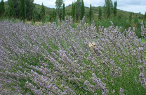 Maison de Charme dans Domaine 17ème - Foto 31