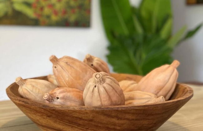 Vila Perainda - Photo 21