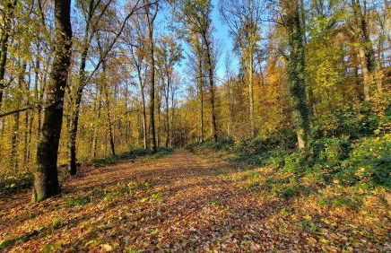 Ferienwohnung Geilert - Foto 21
