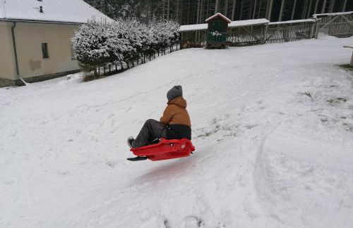 Ferienhaus am Wald - Foto 6