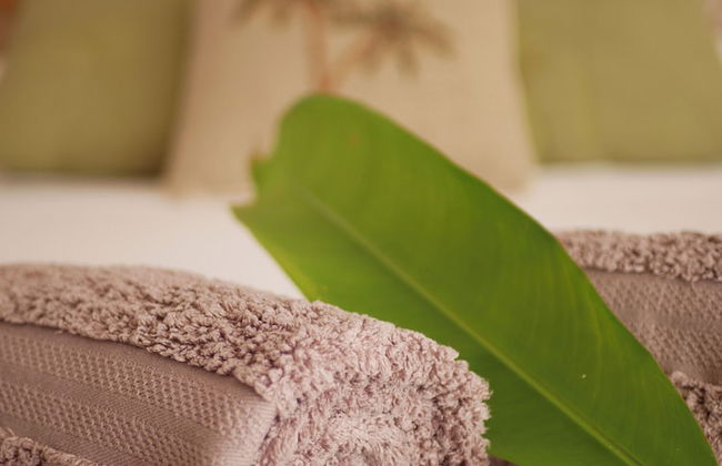 Coco Soley - Photo 22