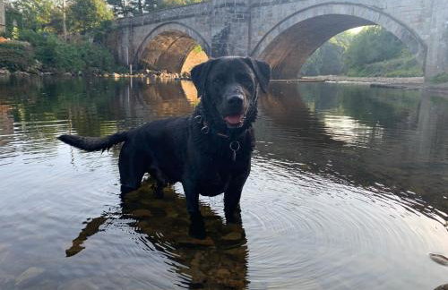 Galboly Cottage - Photo 41