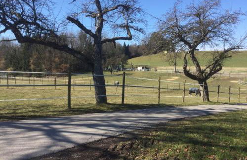 Hof Pferdeglück - Foto 8