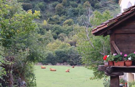 Casa Rural Cares - Foto 22