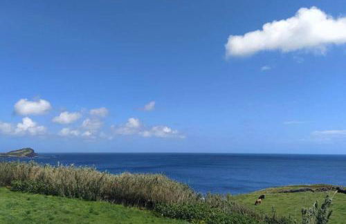 Casa dos Fenais - Foto 14