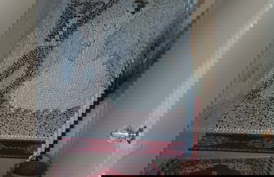 Perice Konak - Photo 25