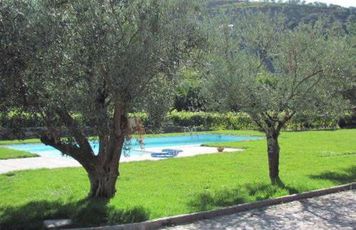 Quinta Madureira - Foto 11