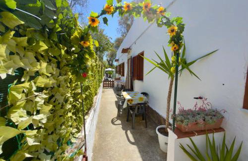 Villa Maica - Photo 67