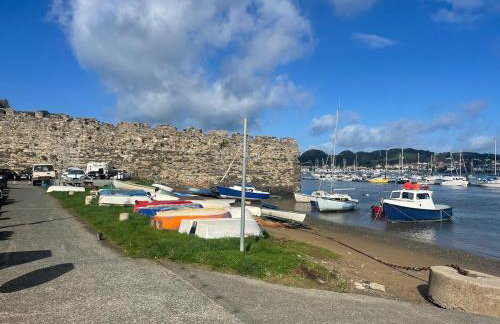 Hafan Glyd charming cozy cottage in Conwy - Foto 37