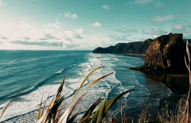 Spectacular Hilltop Retreat near Piha - Foto 38