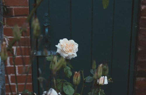 Magnolia Cottage - Photo 25