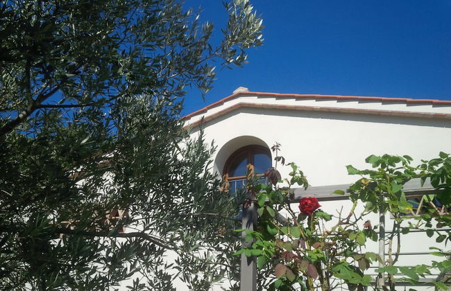 Poggio Corsucci - Foto 74