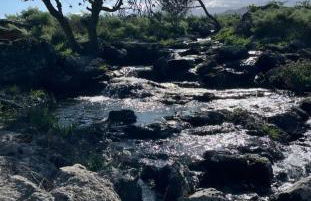 Casa Parrinello Maletto Etna - Foto 23