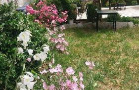 Althea Guesthouse - Foto 22