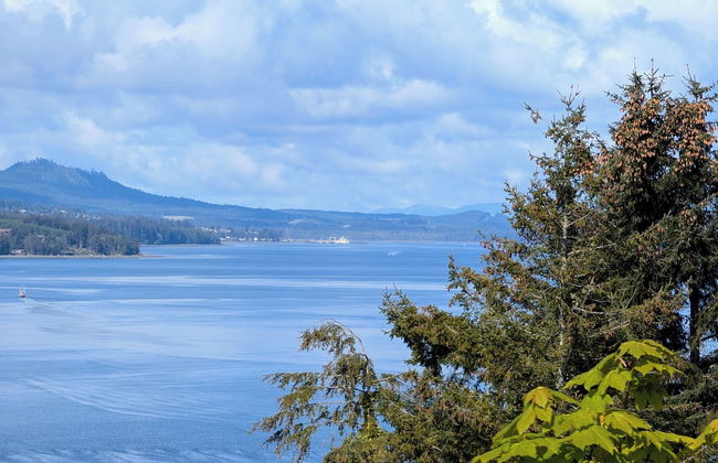 Cliff Haven on the Bay - Photo 50