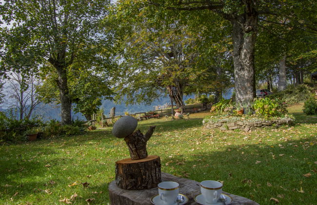 I 3 Faggi - Photo 37