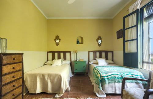 Finca Olivo Llorón - Foto 44