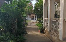 Villa Olive Island - Photo 35