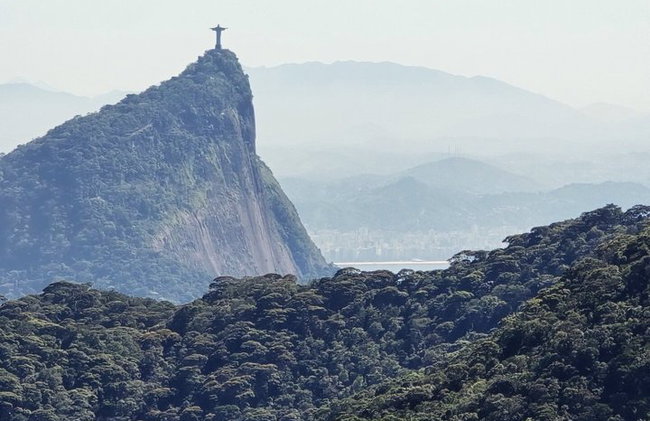 Visita guiada al bosque de Tijuca para grupos pequeños - Foto 25