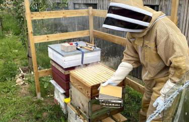 Cosy and modern 1 bedroom garden house - very dog friendly! - Photo 12