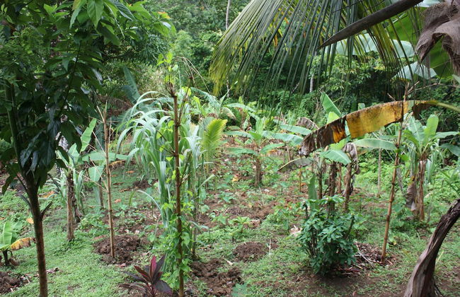 Nature in portland - Foto 18