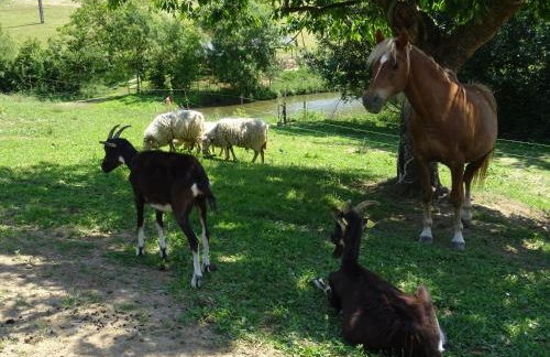 Terre et Eau gite Sèvremont - Photo 7