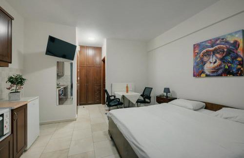 O FOTIS , Restaurant , Studios & Apartments - Photo 7