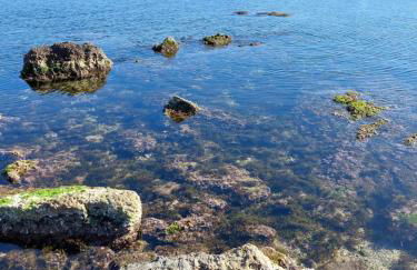 HACIENDA DEL MARQUES III To Chill - Foto 17