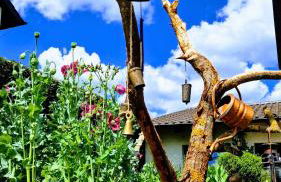 Ferienwohnung Wiesental 89331 Burgau, Wiesentalstrasse 1 - Foto 57