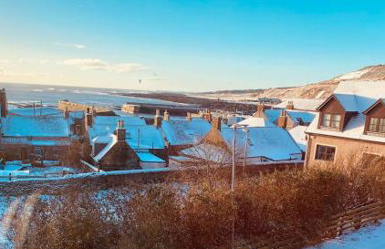 Driftwood - Photo 43