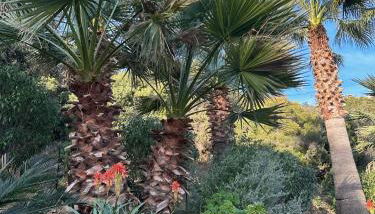 Villa Cigales - Foto 5, Garden view
