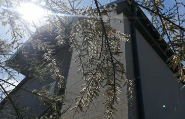 Apartments Lanterna Ražanac - Foto 1