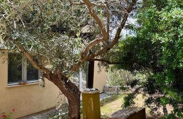 Melolia Estate - Photo 30