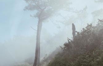 Estudio 33 - Foto 25