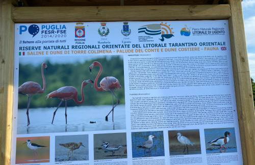 Villa Odetta - appartamento Limonaia - Foto 32