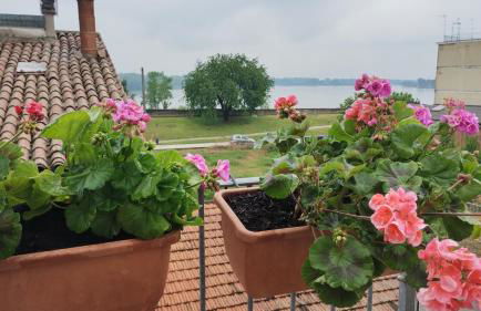 Bellavista Mantova - Foto 25