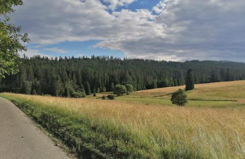 Olberówka - Foto 40