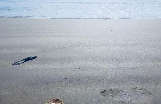 Beach Paradise by Oceanfront Condos - Foto 41