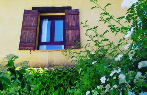 Rural Arco Iris - Foto 34