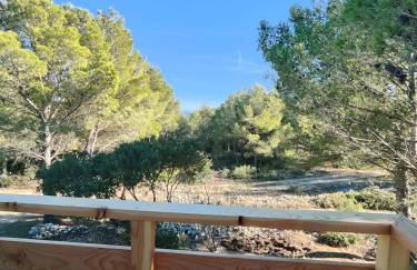 Mas de Caussagues, la Presqu'ile - Foto 30