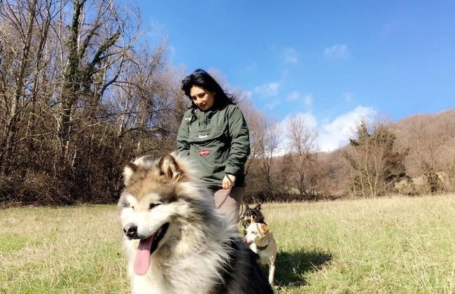 Agriturismo Castello della Pieve - Photo 31