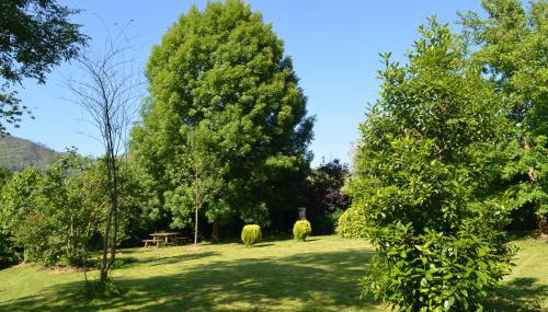 Casa Rural El Bellucu - Foto 5, Garden