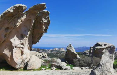 Dependance Pavoncella - Photo 43