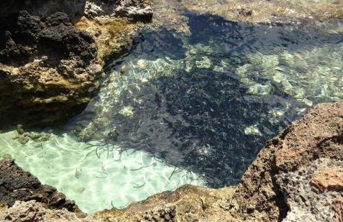 Zodiac Apartments - Foto 27