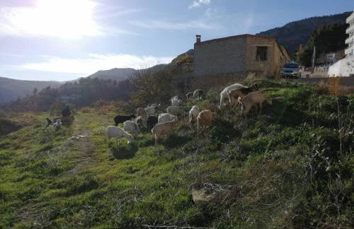 Casa Lourdes - Foto 43